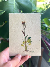 Load image into Gallery viewer, Botanical Plantable Seed Card || Zero Waste || Supports Women || Eco-friendly || MVW12
