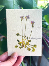 Load image into Gallery viewer, Botanical Plantable Seed Card || Zero Waste || Supports Women || Eco-friendly || MVW24

