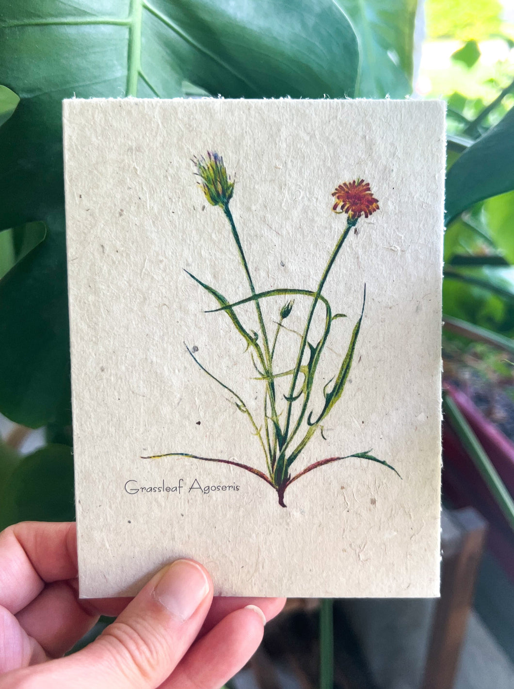 Botanical Plantable Seed Card || Zero Waste || Supports Women || Eco-friendly || MVW25