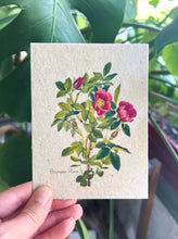 Load image into Gallery viewer, Botanical Plantable Seed Card || Zero Waste || Supports Women || Eco-friendly || MVW21
