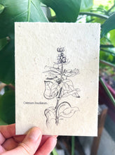 Load image into Gallery viewer, Botanical Plantable Seed Card || Zero Waste || Supports Women || Eco-friendly || MVW26

