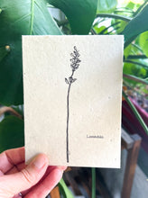 Load image into Gallery viewer, Botanical Plantable Seed Card || Zero Waste || Supports Women || Eco-friendly || MVW28
