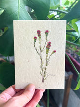 Load image into Gallery viewer, Botanical Plantable Seed Card || Zero Waste || Supports Women || Eco-friendly || MVW29
