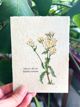 Load image into Gallery viewer, Botanical Plantable Seed Card || Zero Waste || Supports Women || Eco-friendly || MVW30
