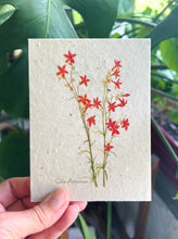 Load image into Gallery viewer, Botanical Plantable Seed Card || Zero Waste || Supports Women || Eco-friendly || MVW37

