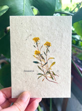 Load image into Gallery viewer, Botanical Plantable Seed Card || Zero Waste || Supports Women || Eco-friendly || MVW38
