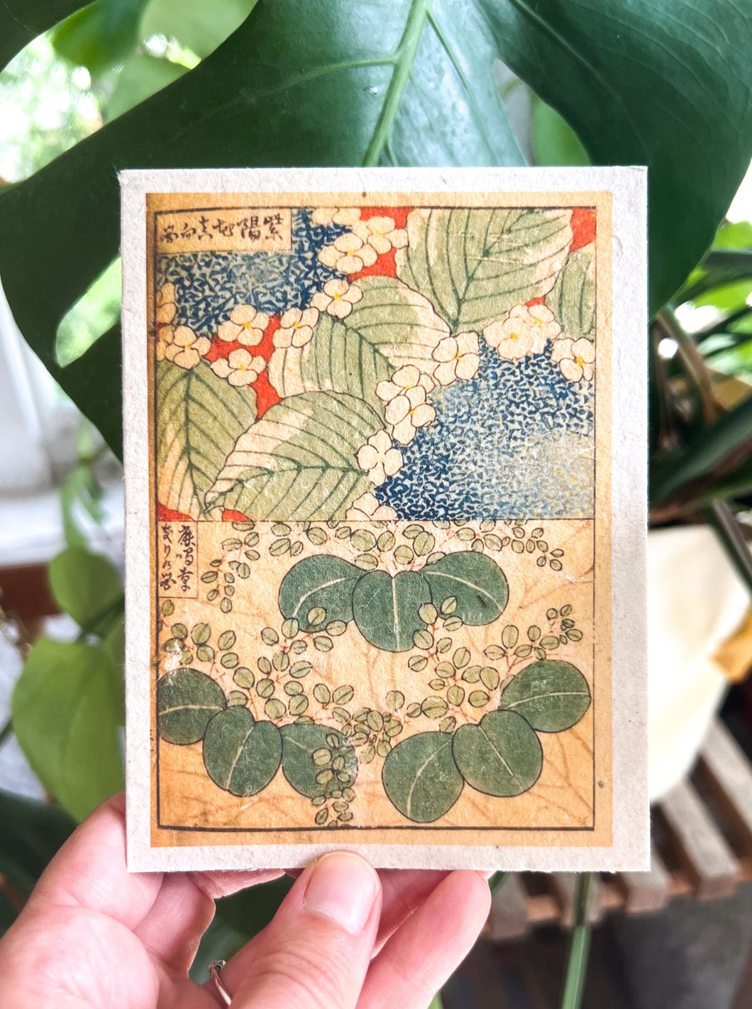 Japanese Plantable Seed Card || Zero Waste || Supports Women || Eco-friendly || J12