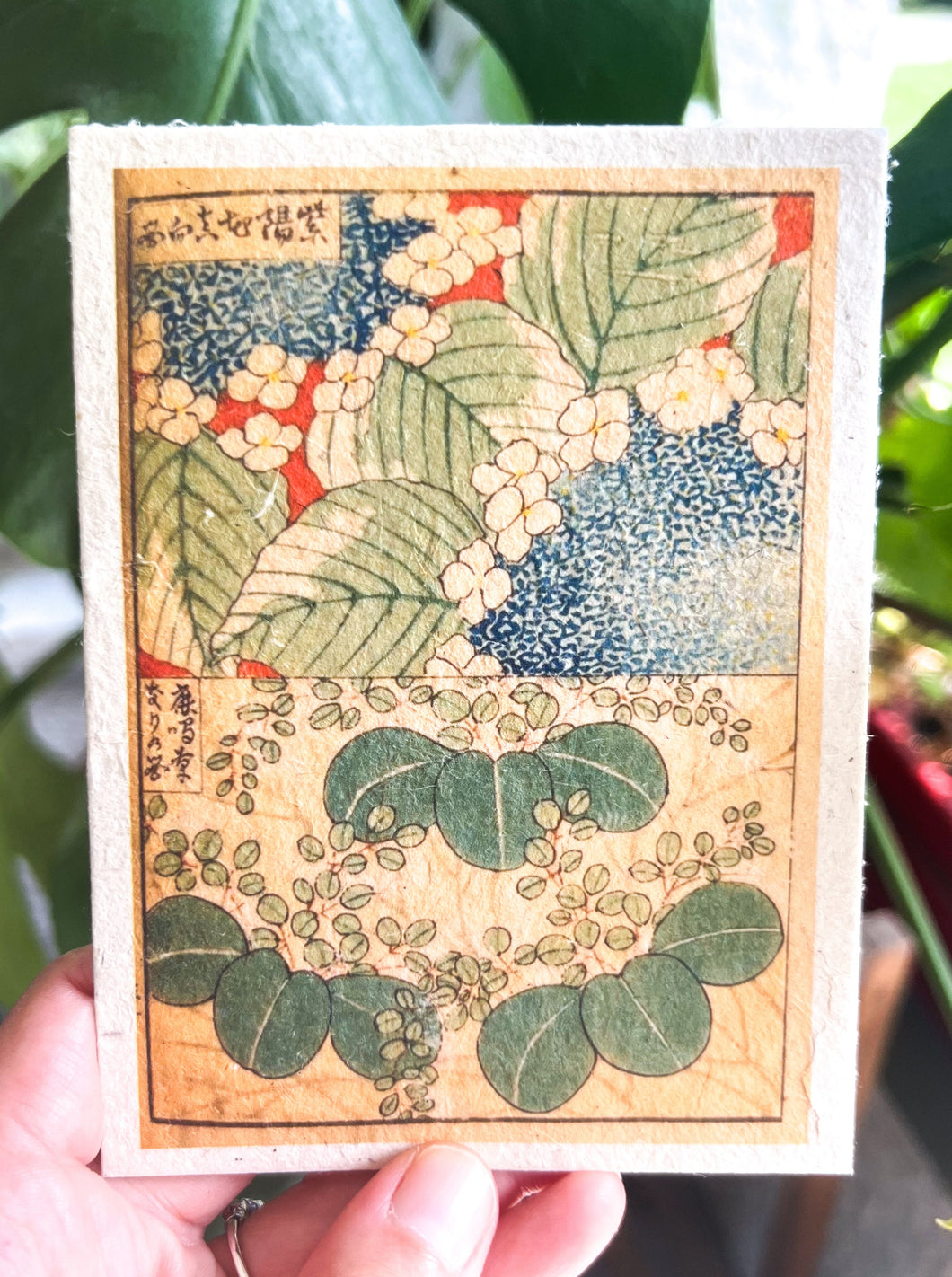 Japanese Plantable Seed Card || Zero Waste || Supports Women || Eco-friendly || J25