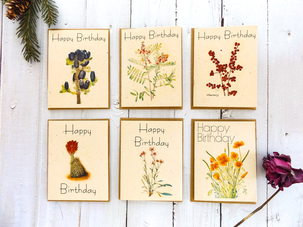 Happy Birthday Seed Paper Cards | 6 pack With Envelopes | Variety Pack | Zero Waste