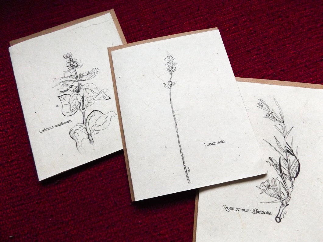 Hand Drawn Plantable Cards | Wildflower Seed Paper | 6 pack
