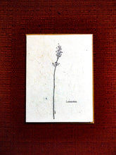 Load image into Gallery viewer, Hand Drawn Greeting Card | Plantable Wildflower Seed Paper | Lavender
