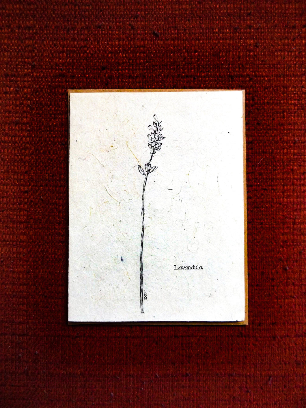 Hand Drawn Greeting Card | Plantable Wildflower Seed Paper | Lavender