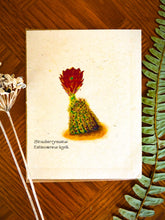 Load image into Gallery viewer, Personalized Plantable Vintage Cards | Wildflower Seed Paper | Zero Waste | Strawberrycactus
