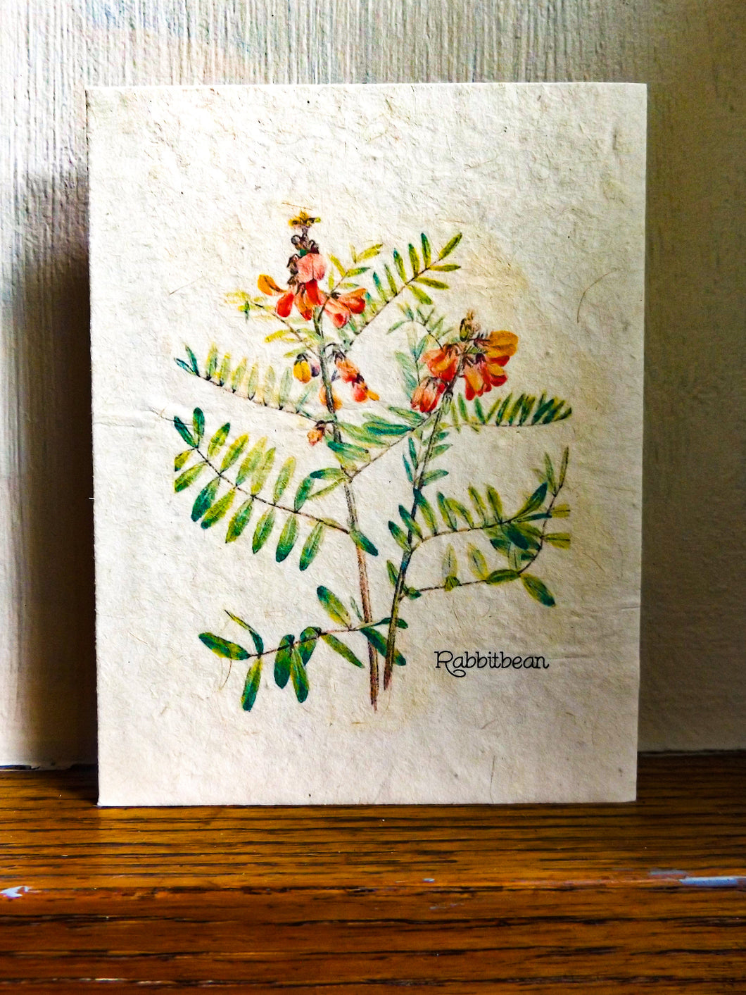 Plantable Cards That Will Grow || Wildflower Seed Paper || Supports Women In Nepal || Rabbitbean