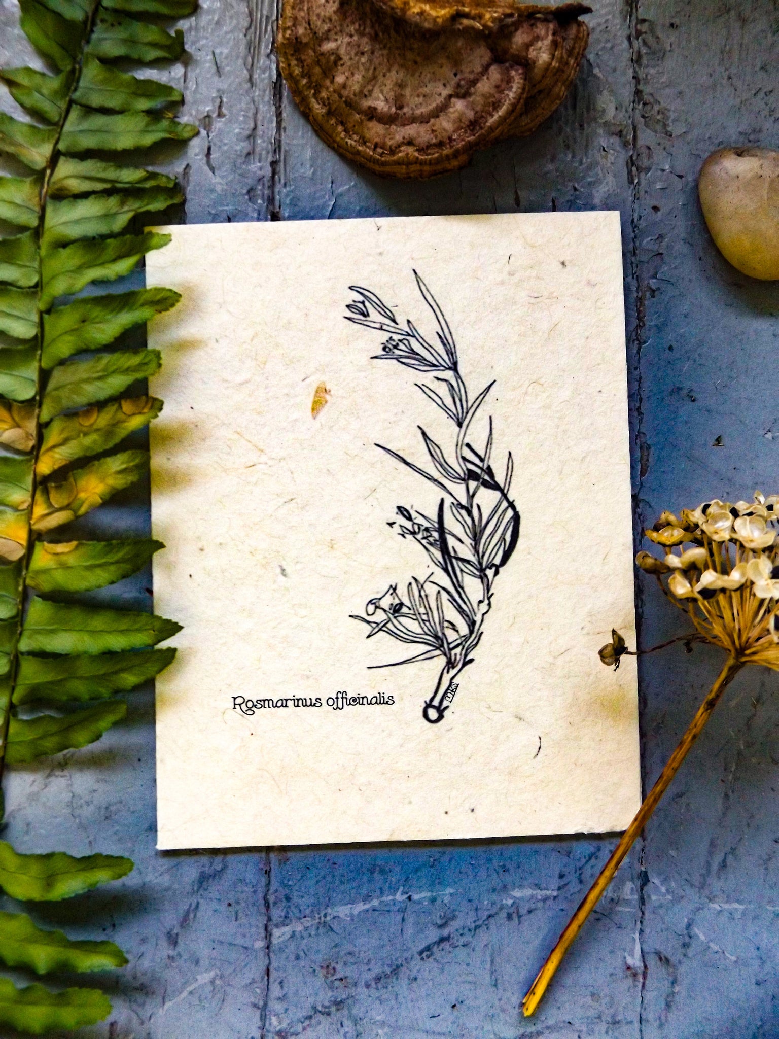 Plantable Seed Cards, Supports Women In Nepal