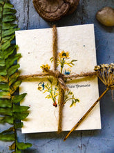 Load image into Gallery viewer, Seed Paper Vintage Botanical Cards | Wildflower Seed Paper | Beyond Zero Waste | Plune Anemone

