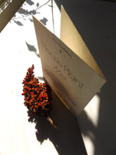 Load image into Gallery viewer, Wholesale Seed Paper Cards | 100ct | Alpine Fir With Navy Envelopes
