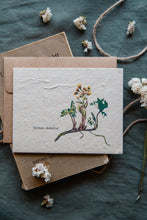 Load image into Gallery viewer, Plantable Vintage Botanical Cards || Wildflower Seed Paper || Northern Butterbur || Supports Women in Nepal || Eco-friendly
