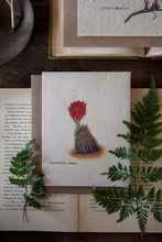 Load image into Gallery viewer, Wholesale 100ct Plantable Vintage Botanical Cards | Wildflower Seed Paper | Zero Waste | Strawberrycactus
