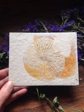 Load image into Gallery viewer, Plantable Spore Print Cards | 6 pack Wildflower Seed Paper | Beyond Zero Waste | Handmade With Love
