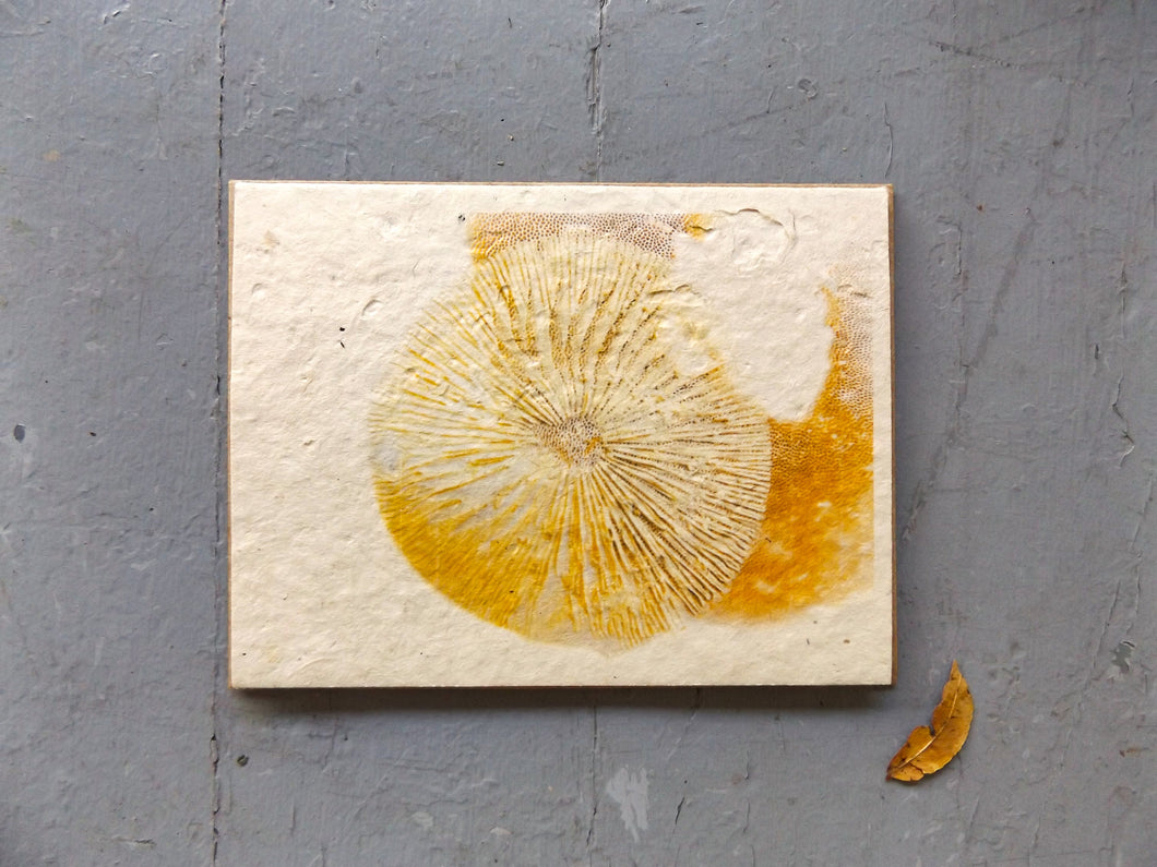 Wholesale Plantable Spore Print Cards |100ct Wildflower Seed Paper | Beyond Zero Waste | Handmade