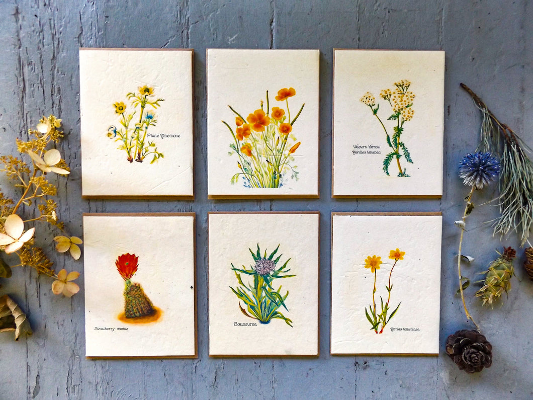150ct | Wholesale Plantable Seed Paper Cards | Blank Inside With Envelope | Pick Any Variety