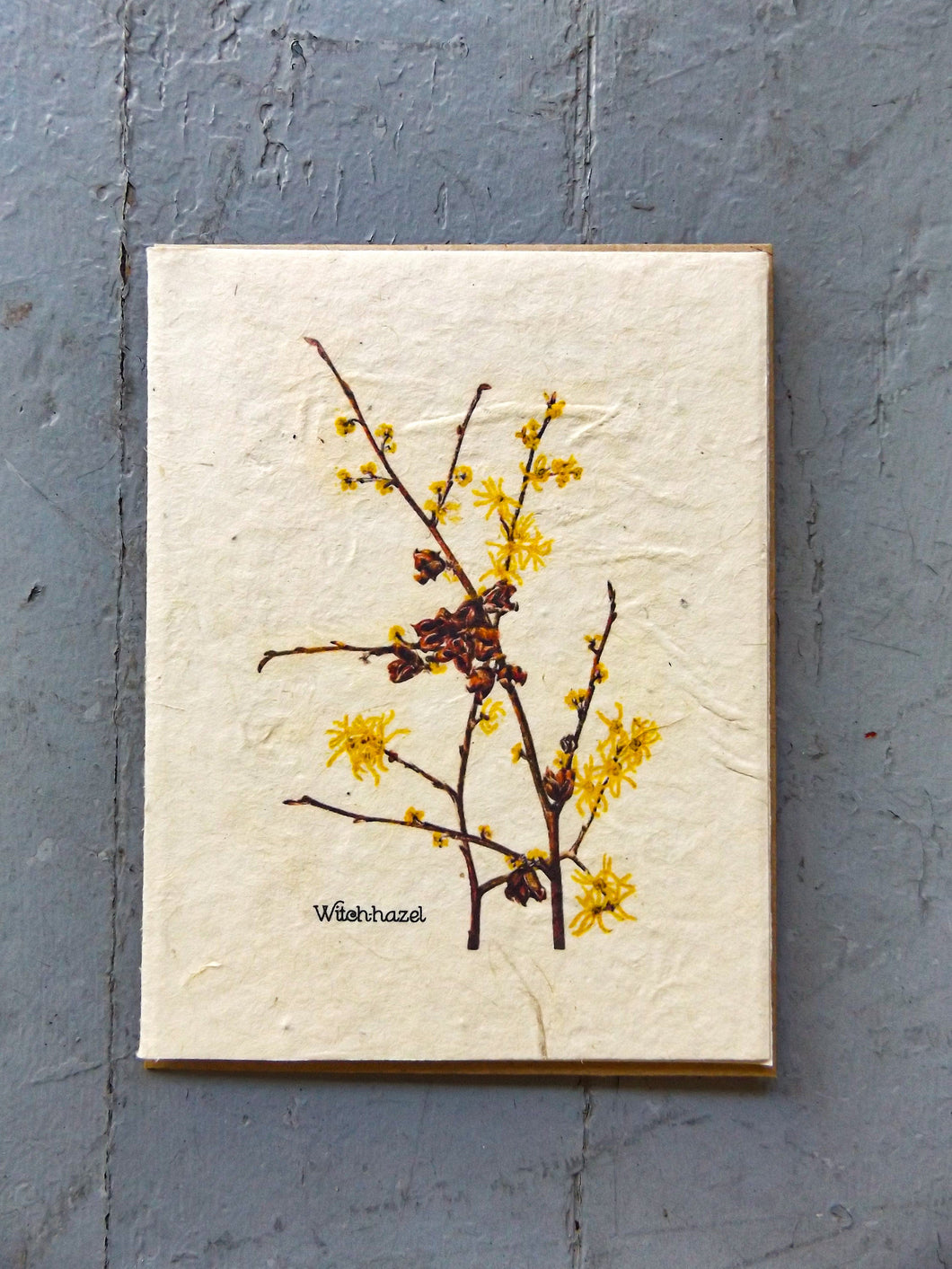 Plantable Vintage Cards | Wildflower Seed Paper | 6 pack | Witch-hazel