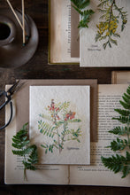 Load image into Gallery viewer, Wholesale 100ct Plantable Vintage Botanical Cards That Will Grow | Wildflower Seed Paper | Beyond Zero Waste | Rabbitbean
