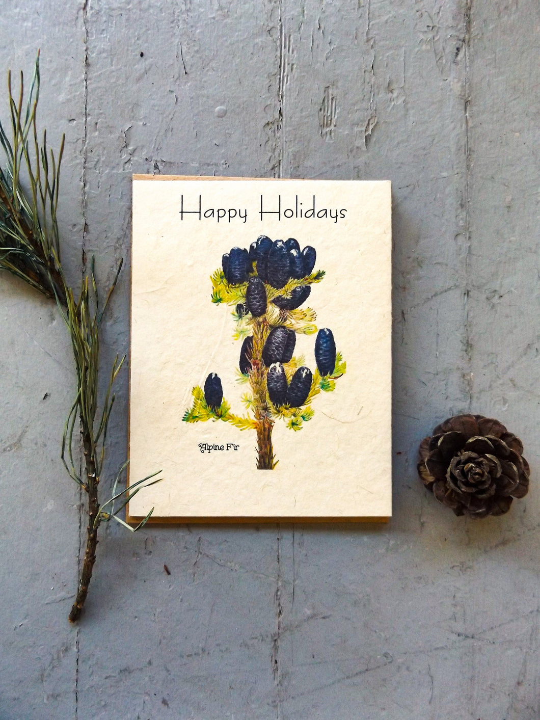 Happy Holidays Plantable Cards || Wildflower Seed Paper || 6 pack || Alpine Fir || Eco-friendlly || Supports Women