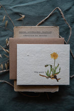 Load image into Gallery viewer, Plantable Vintage Botanical Cards || 6 Pack || Wildflower Seed Paper || Beyond Zero Waste || Woolly agoseris || Eco-friendly || Supports Women
