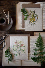 Load image into Gallery viewer, Plantable Vintage Botanical Cards | Wildflower Seed Paper | 6 Pack | Zero Waste | Giant Arborvitae
