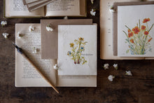 Load image into Gallery viewer, Plantable Vintage Botanical Cards || Wildflower Seed Paper || Zero Waste || Plune Anemone || Supports Women in Nepal || Eco-friendly
