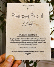 Load image into Gallery viewer, Plantable Seed Cards With Envelopes | Wildflower Seed Paper | Wild Sweet Crab
