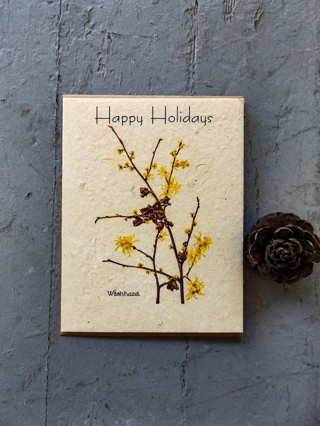 Happy Holidays Card | 6 Pack | Wildflower Seed Paper | Zero Waste | Witch-hazel