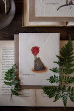 Load image into Gallery viewer, Personalized Plantable Vintage Cards | Wildflower Seed Paper | Zero Waste | Strawberrycactus
