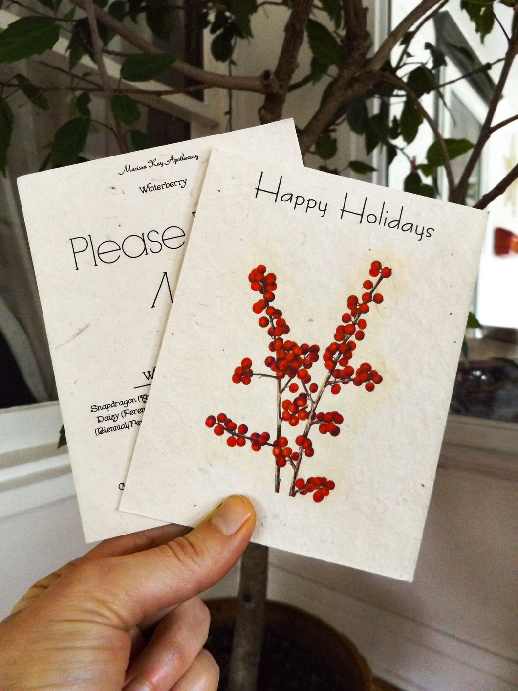 Happy Holidays Seed Card || 6 Pack Postcard Style With Envelopes || Zero Waste || Winterberry || Supports Women || Eco-friendly
