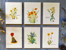 Load image into Gallery viewer, Personalized Seed Paper Card | Wildflowers Will Grow | Pick From Any Of My Cards | Zero Waste
