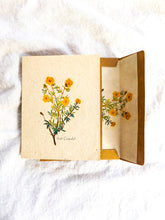 Load image into Gallery viewer, Seed Paper Cards || 6 pack With Envelopes Lined With Seed Paper || Hand Drawn || Zero Waste || Eco-friendly || Supports Women

