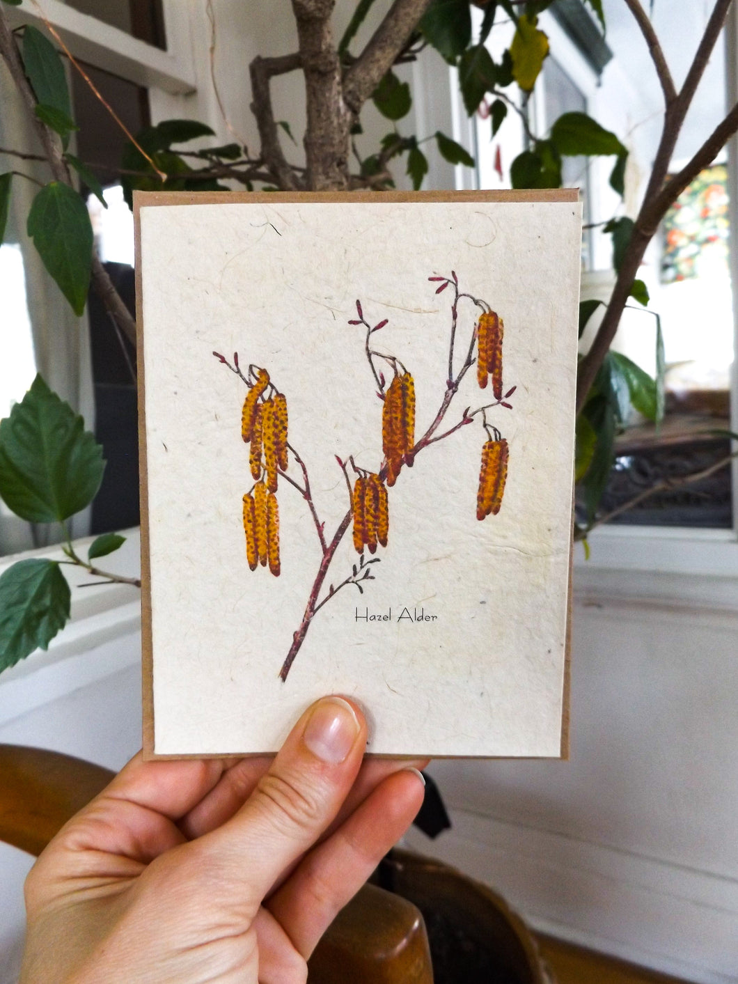 Seed Paper Vintage Greeting Cards | Wildflower Seeds | 6 pack | Catkins