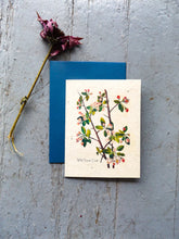 Load image into Gallery viewer, Plantable Seed Cards With Envelopes | Wildflower Seed Paper | Wild Sweet Crab
