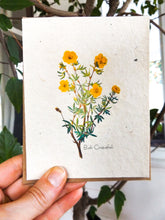 Load image into Gallery viewer, Seed Paper Vintage Greeting Cards | Wildflower Seeds | 6 pack | Bush Cinquefoil
