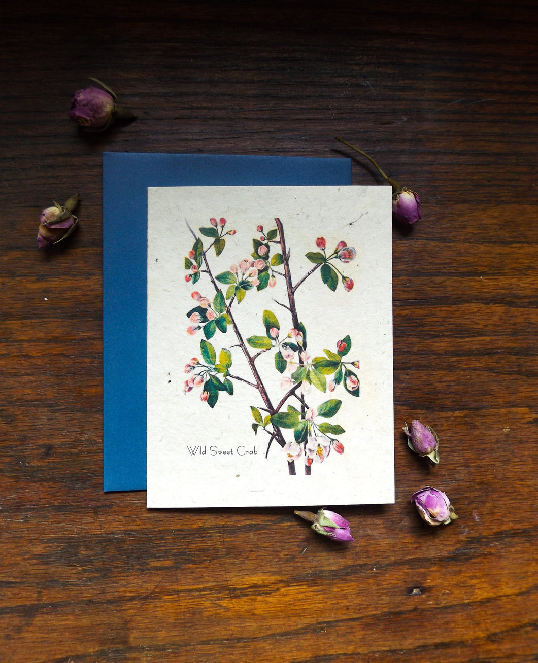 Plantable Seed Cards With Envelopes | Wildflower Seed Paper | Wild Sweet Crab