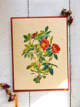 Load image into Gallery viewer, Seed Paper Cards | Vintage Botanical Print | Rose
