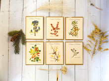 Load image into Gallery viewer, Holiday Plantable Seed Cards With Envelopes || Variety Pack(6) || Wildflower Seed Paper || Zero Waste Gift || Supports Women in Nepal || Eco-friendly
