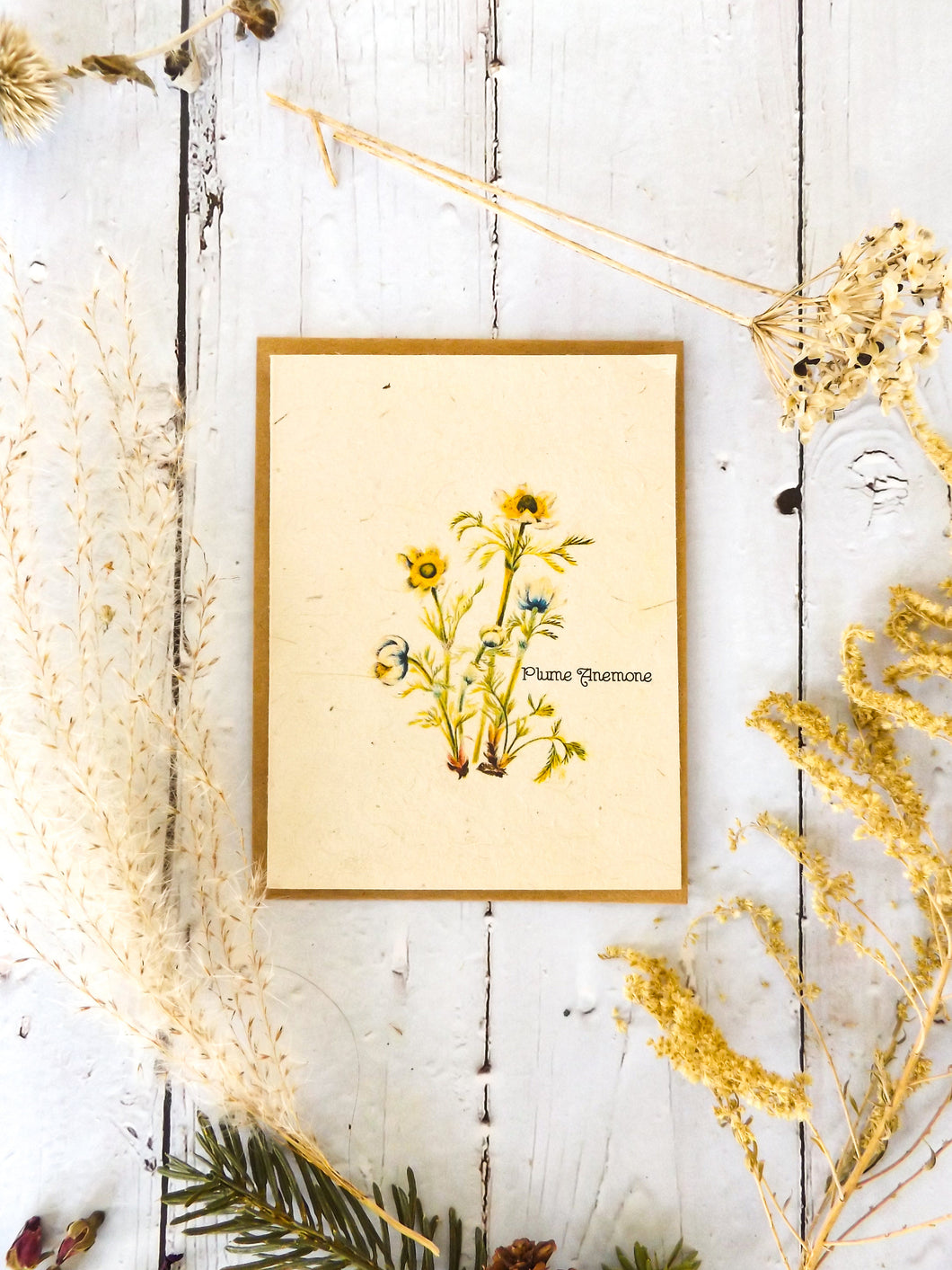 Plantable Vintage Botanical Cards | Wildflower Seed Paper | Zero Waste | Plune Anemone