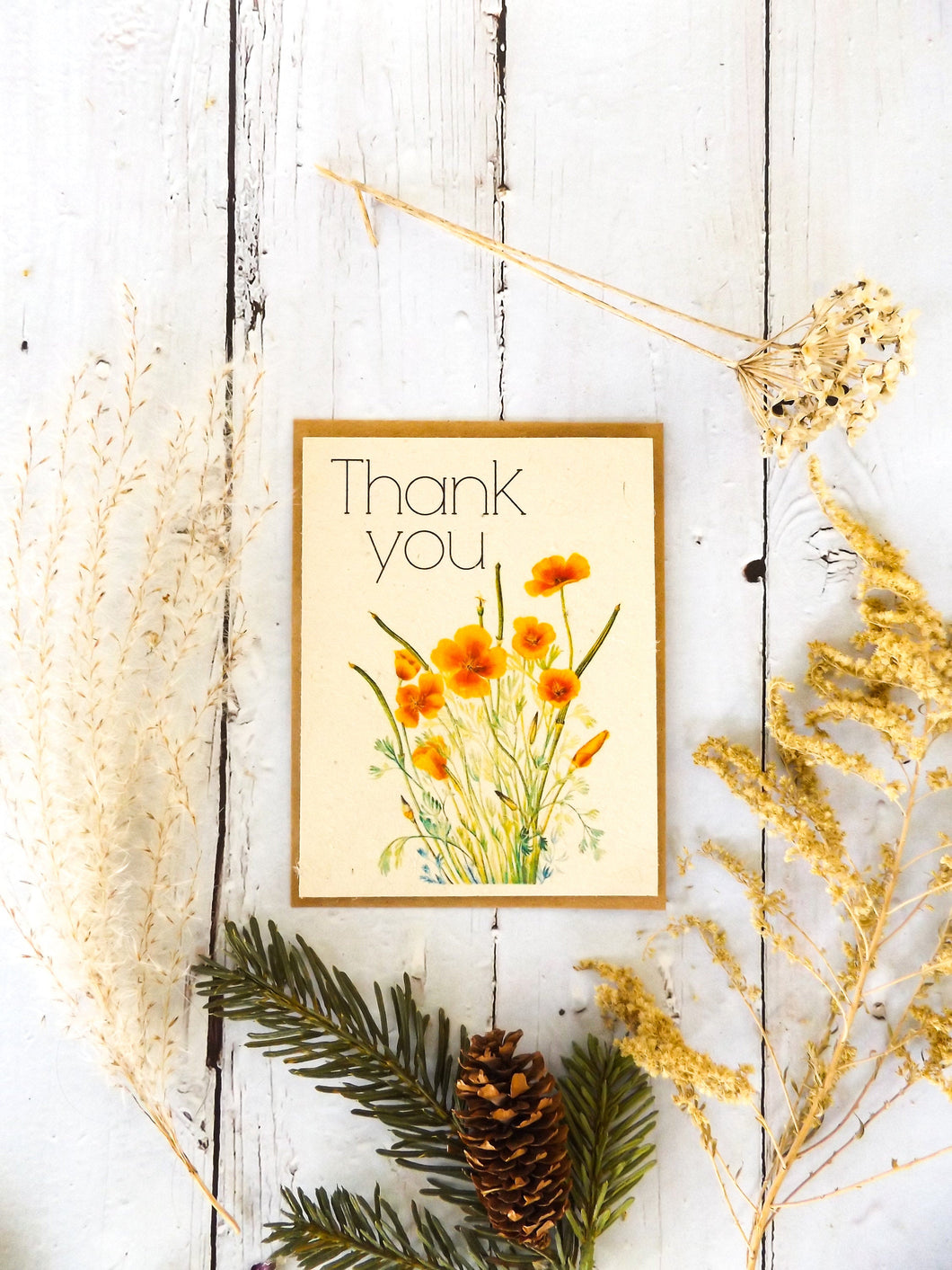 Plantable Vintage Thank You Cards | 6 pack Wildflower Seed Paper | Beyond Zero Waste | Mexican Poppy
