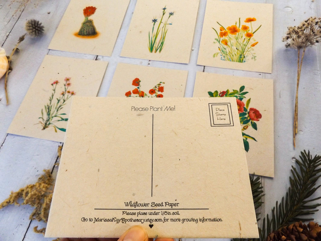 Vintage Inspired Postcards On Seed Paper || Wildflowers Will Grow || 6-pack of Postcards || Eco-friendly || Supports Women in Nepal