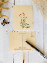 Load image into Gallery viewer, Wholesale 100ct Vintage Inspired Postcards On Seed Paper | Wildflowers Will Grow | Variety 6 Pack
