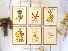 Load image into Gallery viewer, Holiday Plantable Seed Cards With Envelopes | Variety Pack(6) | Wildflower Seed Paper | Zero Waste Gift
