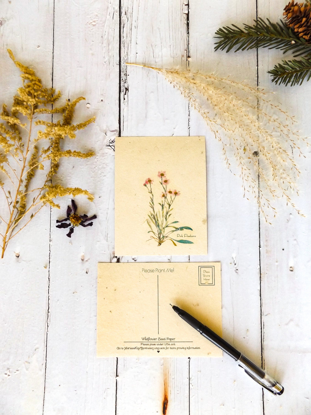 Plantable Seed Postcards || Supports Women In Nepal || Eco-Friendly || Pink Fleabane